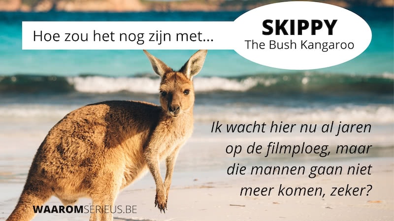 Hoe zou het nog zijn met skippy the bush kangaroo